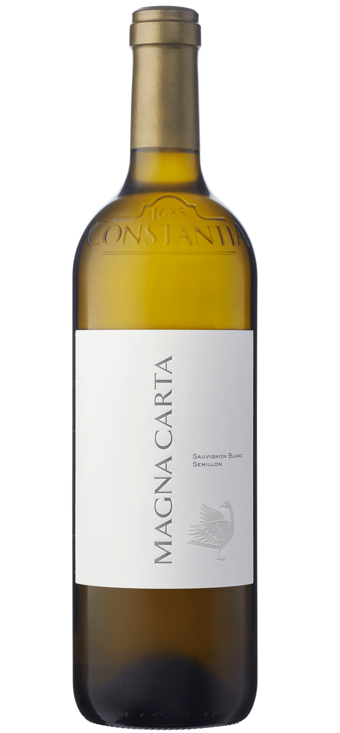 Steenberg Icon Range Magna Carta 2021